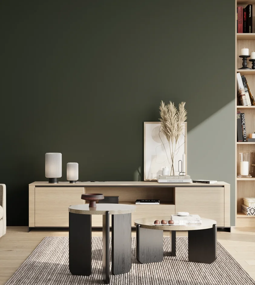 P10_SNIEZKA_salon_02_poludnie_GREY_S8005-G