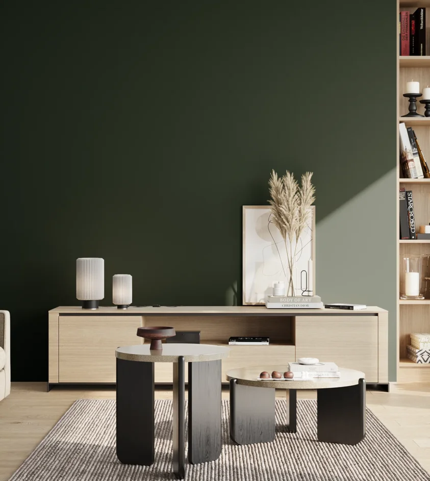 P10_SNIEZKA_salon_02_poludnie_GREY_S8505-G
