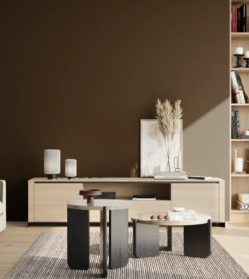 P10_SNIEZKA_salon_02_poludnie_GREY_S8505-Y50R