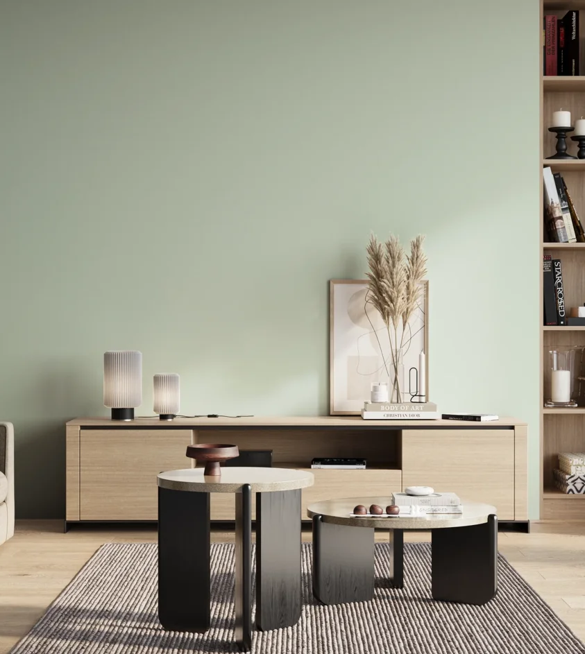 P10_SNIEZKA_salon_01_poranek_GREY_S0510-G