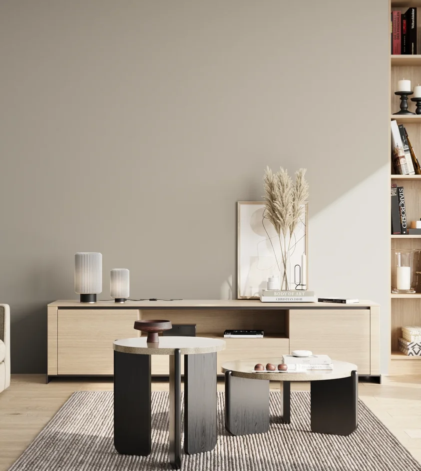 P10_SNIEZKA_salon_02_poludnie_GREY_S2502-Y20R