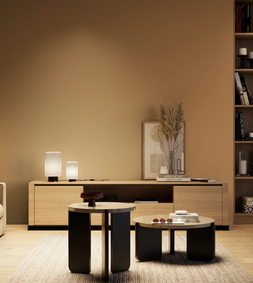 P10_SNIEZKA_salon_04_cieple_GREY_RAL1011