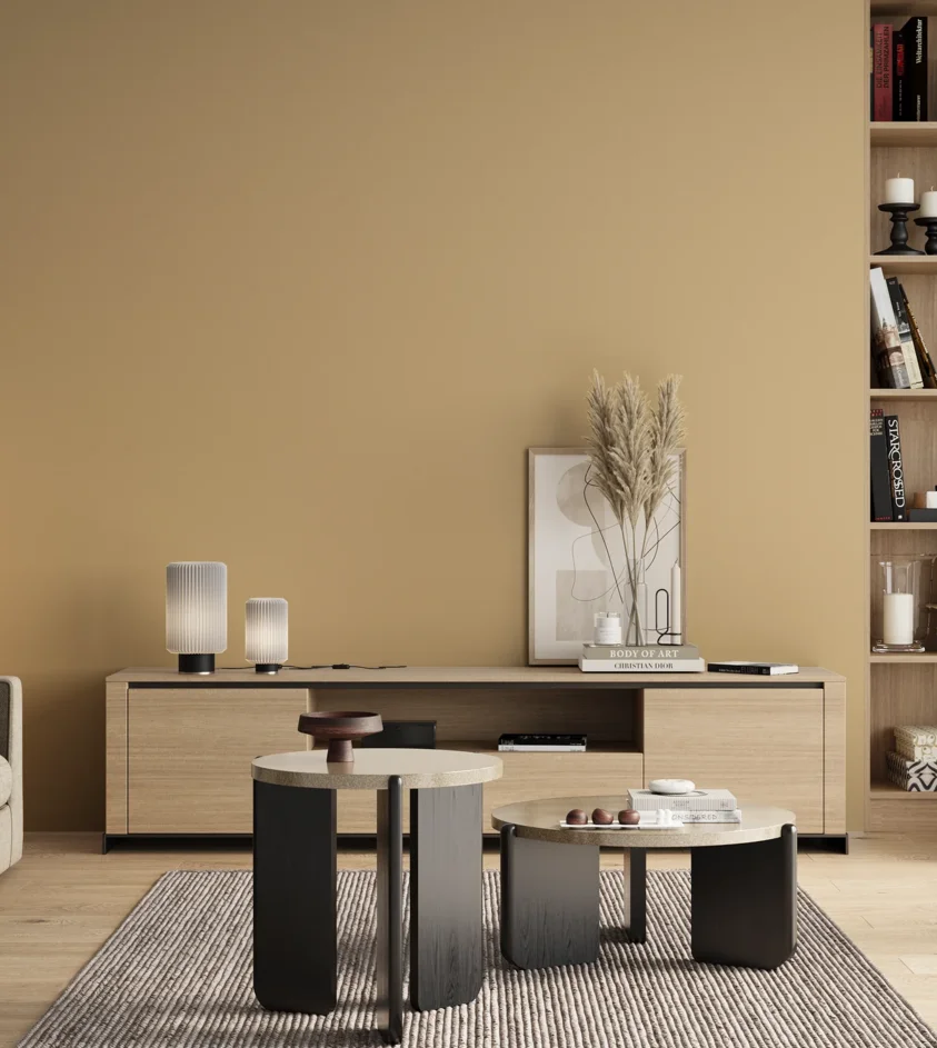 P10_SNIEZKA_salon_00_neutral_GREY_RAL1014