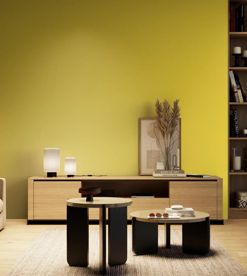 P10_SNIEZKA_salon_04_cieple_GREY_RAL1016