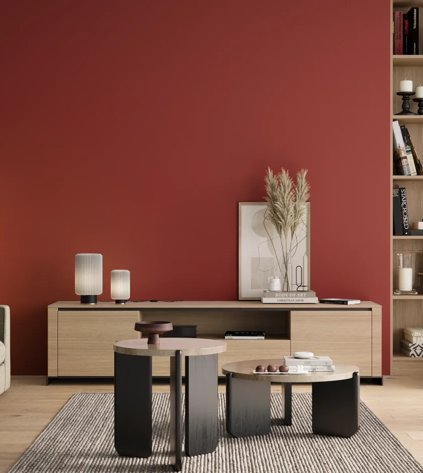 P10_SNIEZKA_salon_00_neutral_GREY_RAL3001