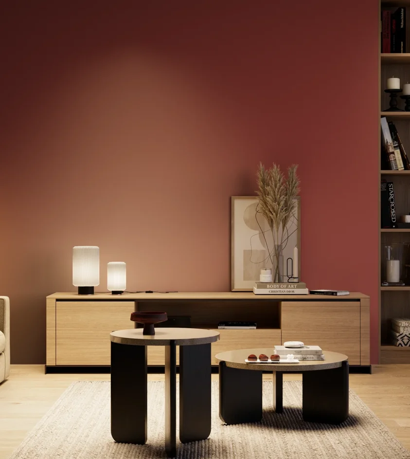 P10_SNIEZKA_salon_04_cieple_GREY_RAL3003