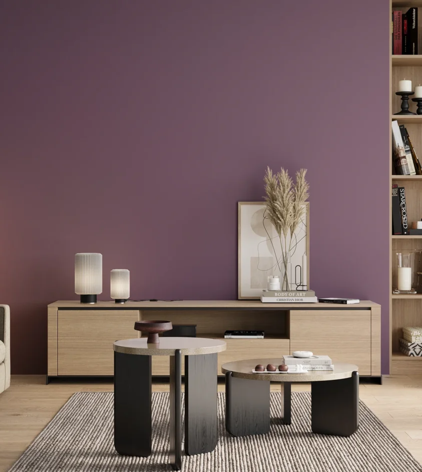 P10_SNIEZKA_salon_00_neutral_GREY_RAL4001