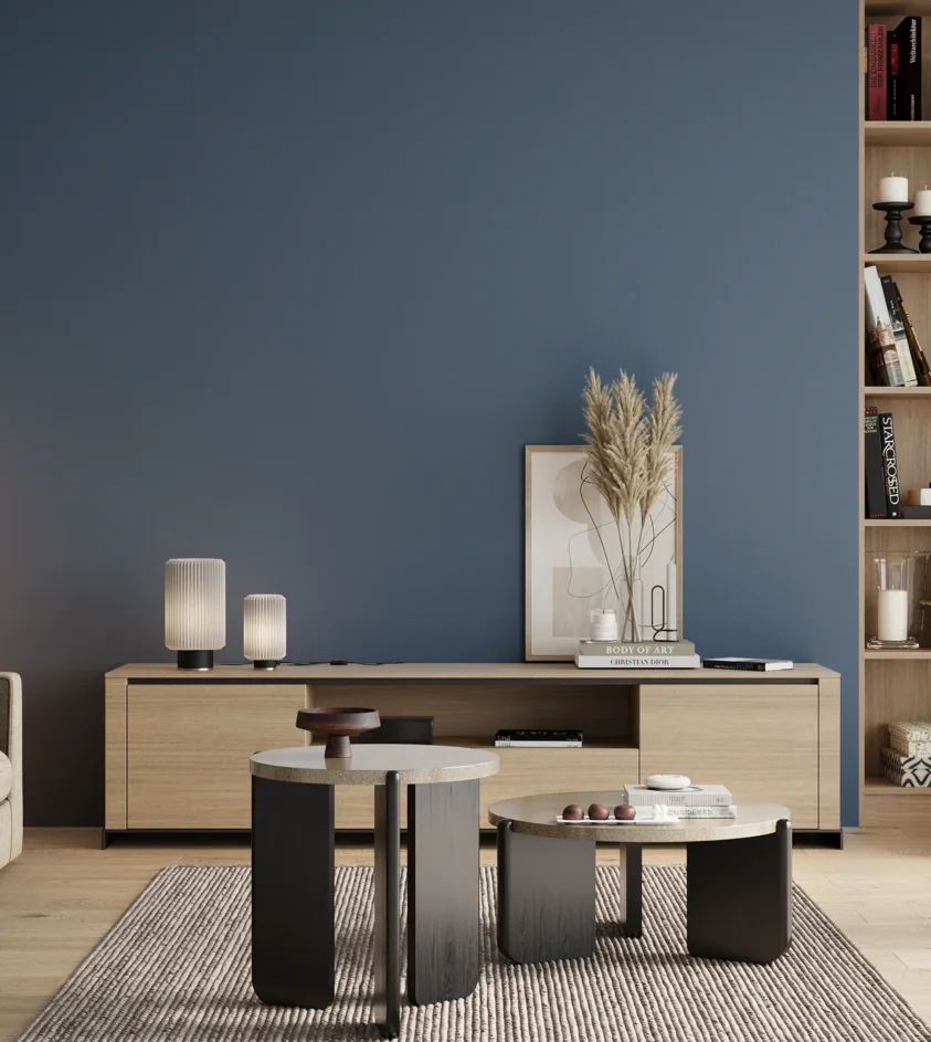 P10_SNIEZKA_salon_00_neutral_GREY_RAL5023
