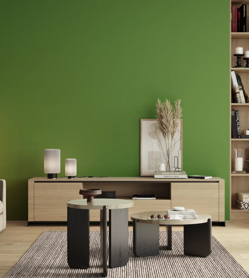 P10_SNIEZKA_salon_00_neutral_GREY_RAL6018