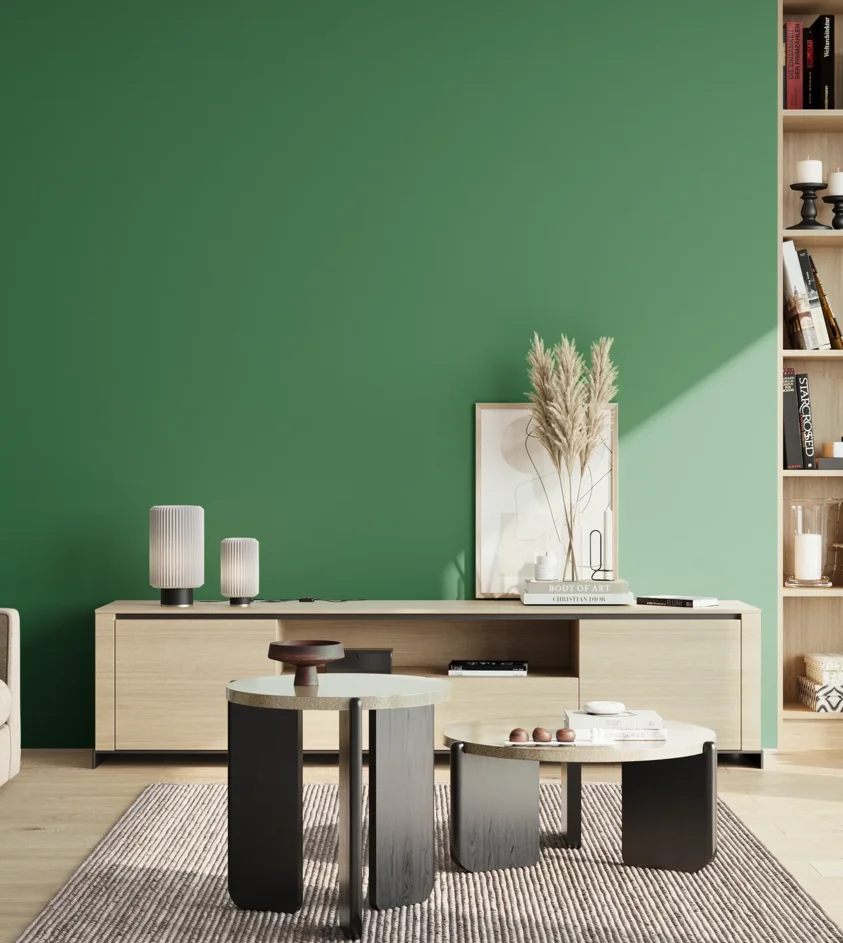 P10_SNIEZKA_salon_02_poludnie_GREY_RAL6024