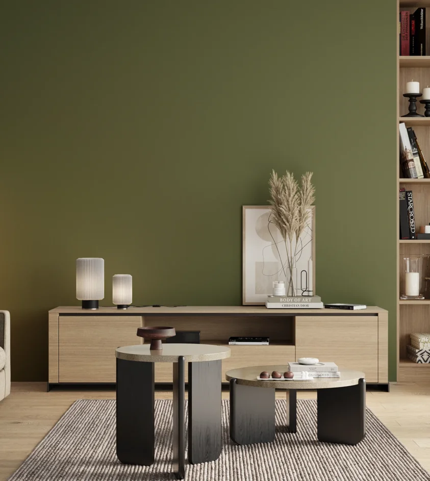 P10_SNIEZKA_salon_00_neutral_GREY_RAL6025