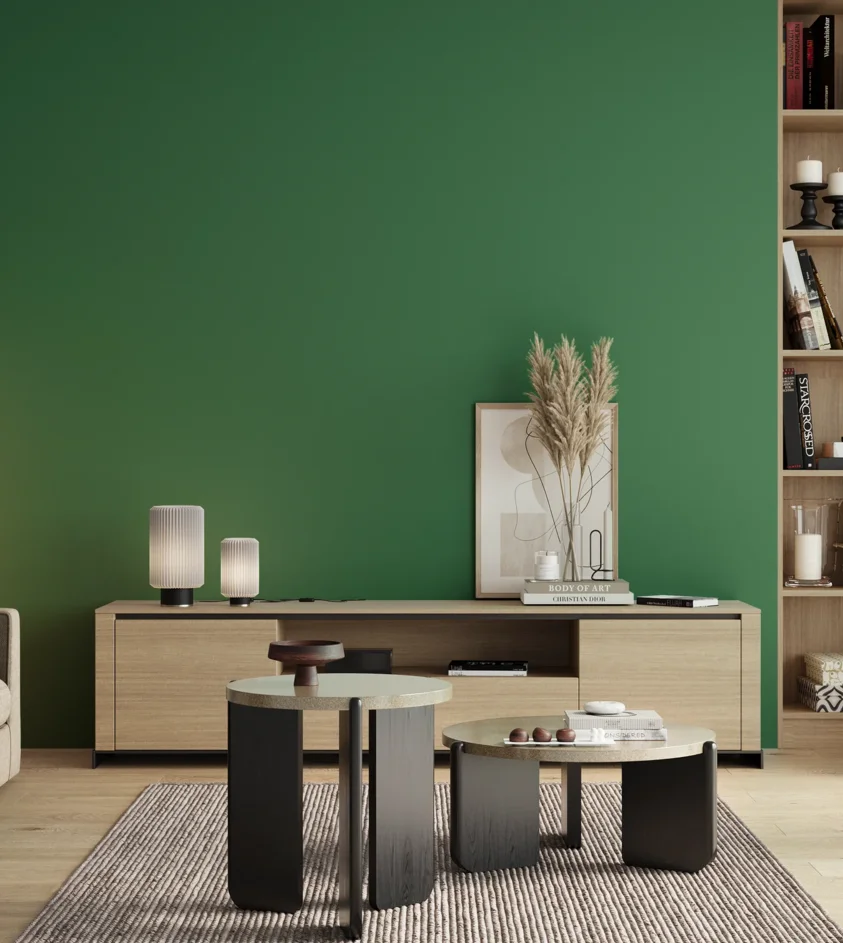 P10_SNIEZKA_salon_00_neutral_GREY_RAL6032