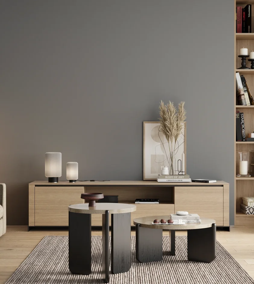 P10_SNIEZKA_salon_00_neutral_GREY_RAL7001