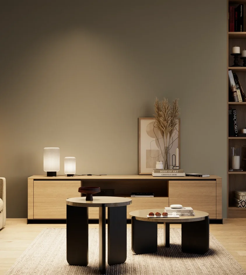 P10_SNIEZKA_salon_04_cieple_GREY_RAL7003