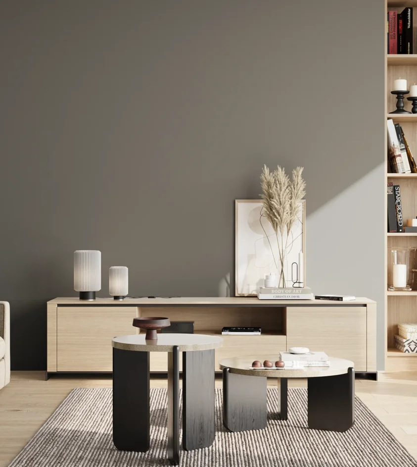P10_SNIEZKA_salon_02_poludnie_GREY_RAL7005