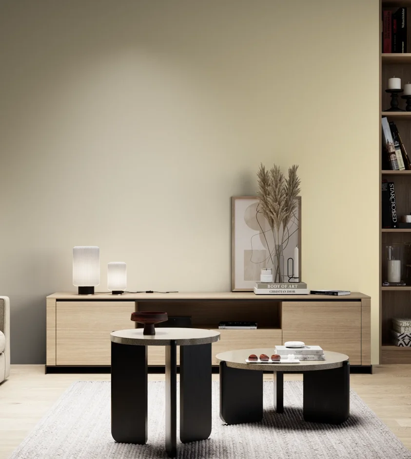 P10_SNIEZKA_salon_05_zimne_GREY_S0510-Y10R