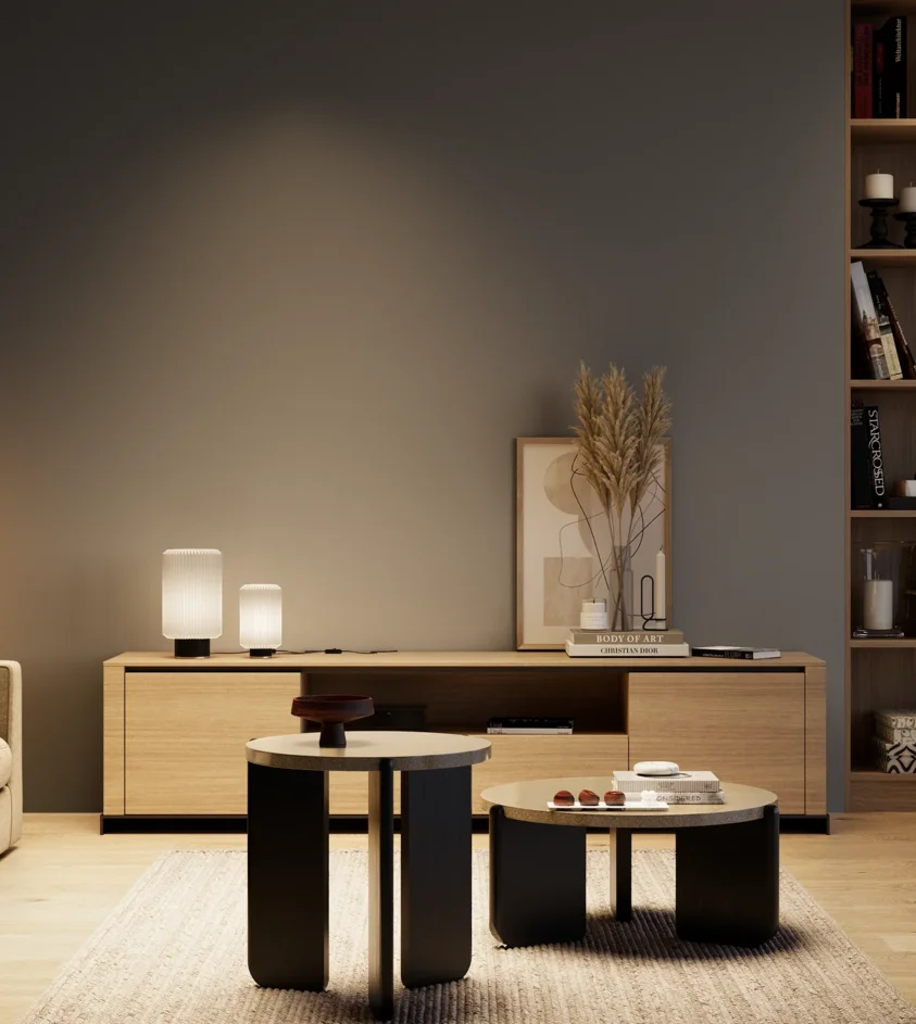 P10_SNIEZKA_salon_04_cieple_GREY_RAL7015