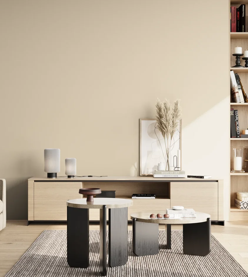 P10_SNIEZKA_salon_02_poludnie_GREY_C10