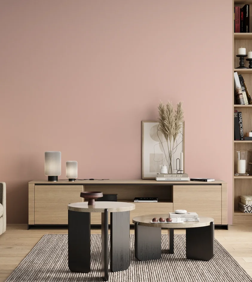 P10_SNIEZKA_salon_00_neutral_GREY_C33