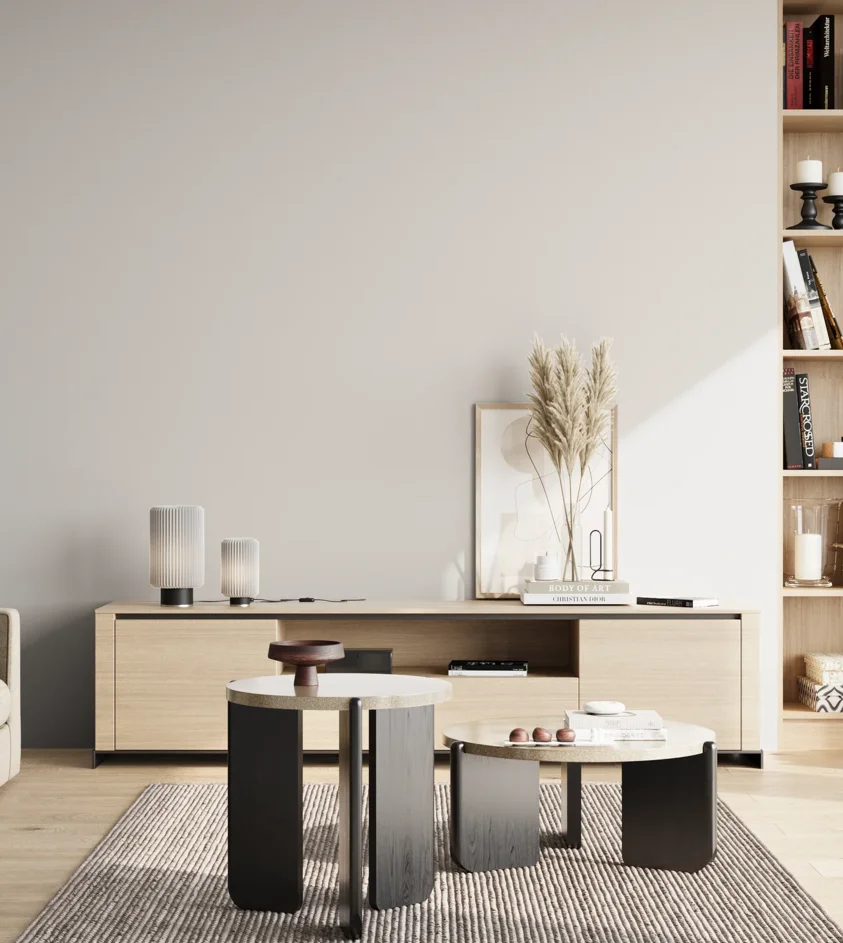 P10_SNIEZKA_salon_02_poludnie_GREY_C70