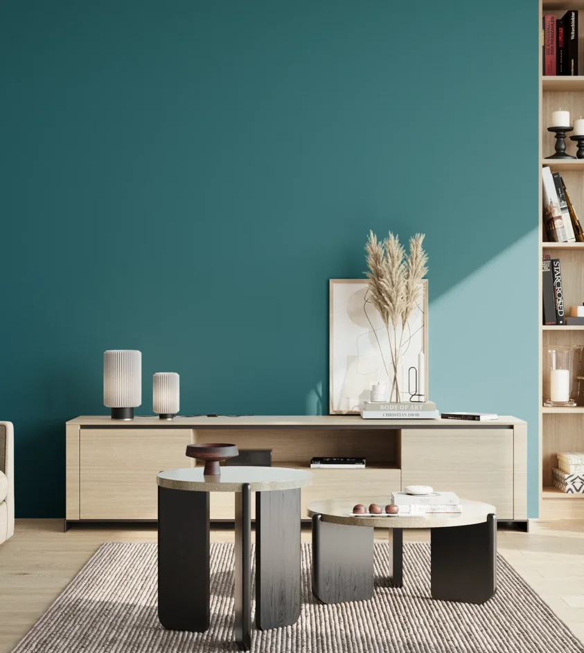 P10_SNIEZKA_salon_02_poludnie_GREY_C76