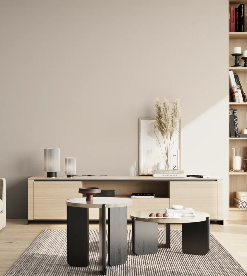 P10_SNIEZKA_salon_02_poludnie_GREY_C81