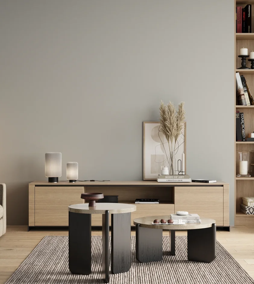 P10_SNIEZKA_salon_00_neutral_GREY_MP3