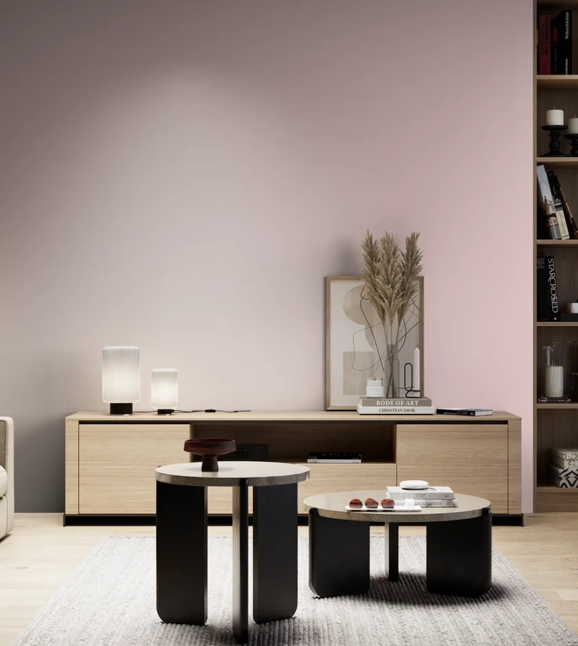 P10_SNIEZKA_salon_05_zimne_GREY_S0515-R10B