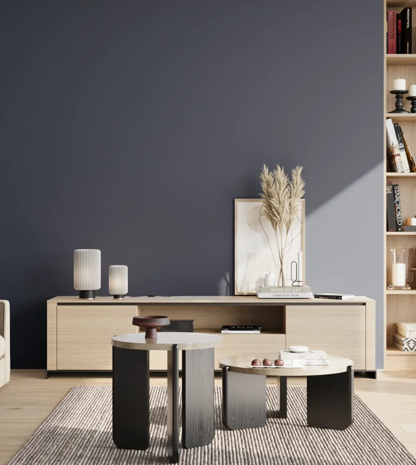 P10_SNIEZKA_salon_02_poludnie_GREY_MP26