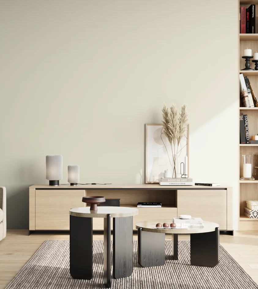 P10_SNIEZKA_salon_02_poludnie_GREY_S0502-Y