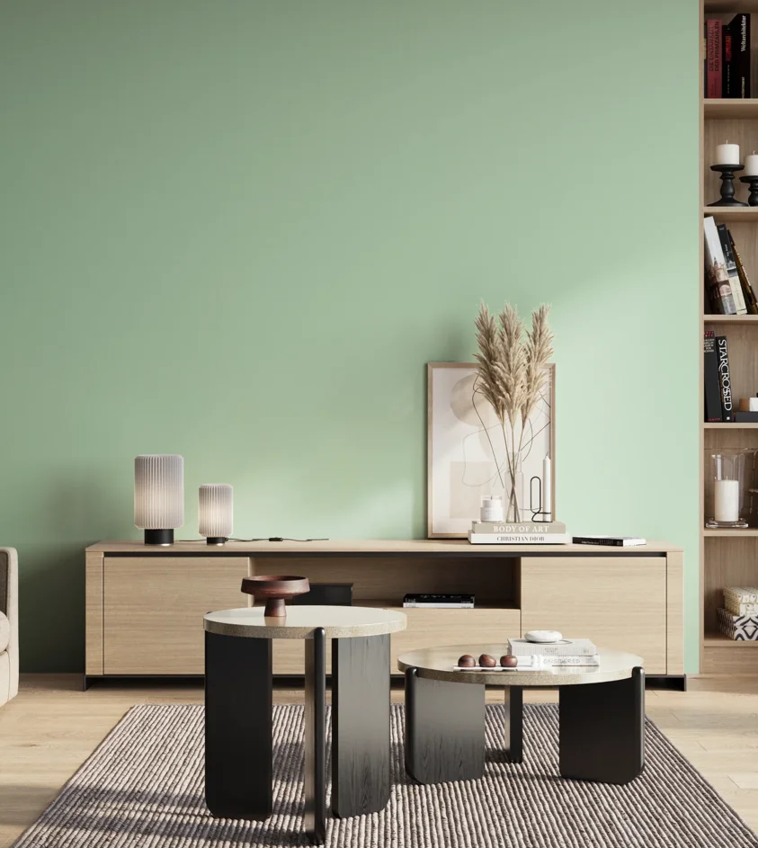 P10_SNIEZKA_salon_01_poranek_GREY_S0520-G