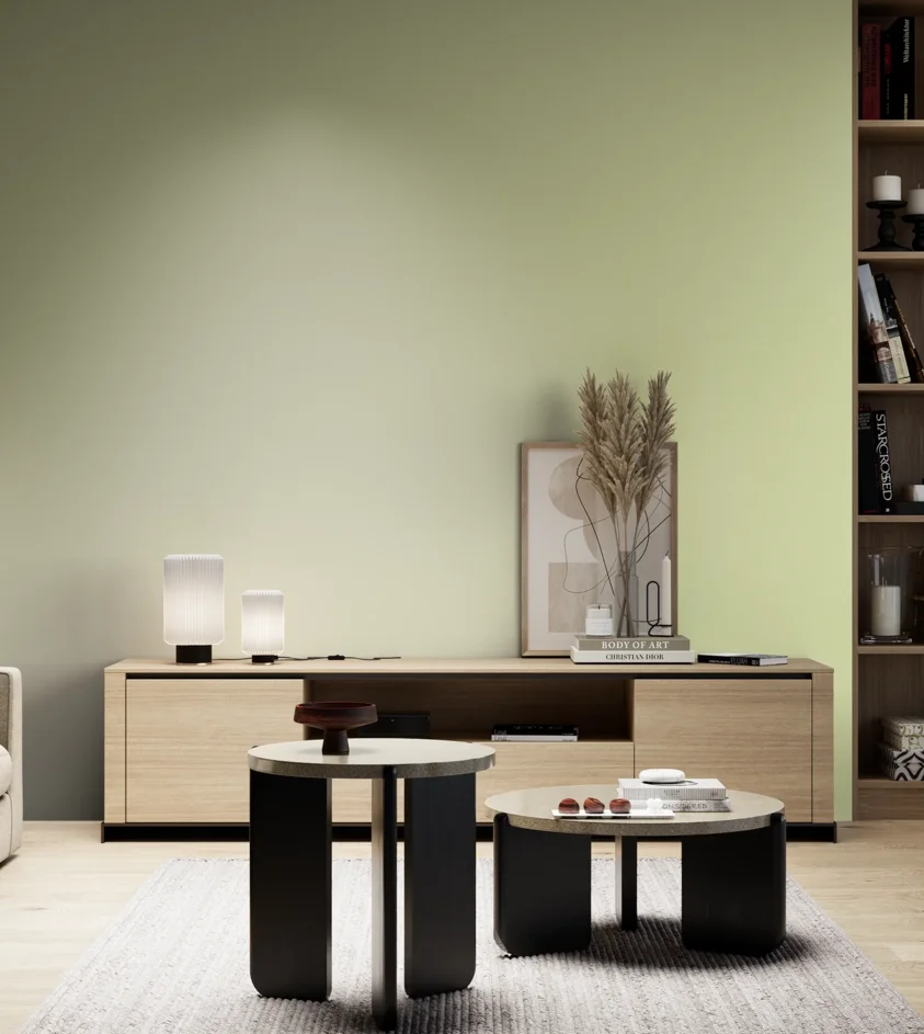 P10_SNIEZKA_salon_05_zimne_GREY_S0520-G60Y