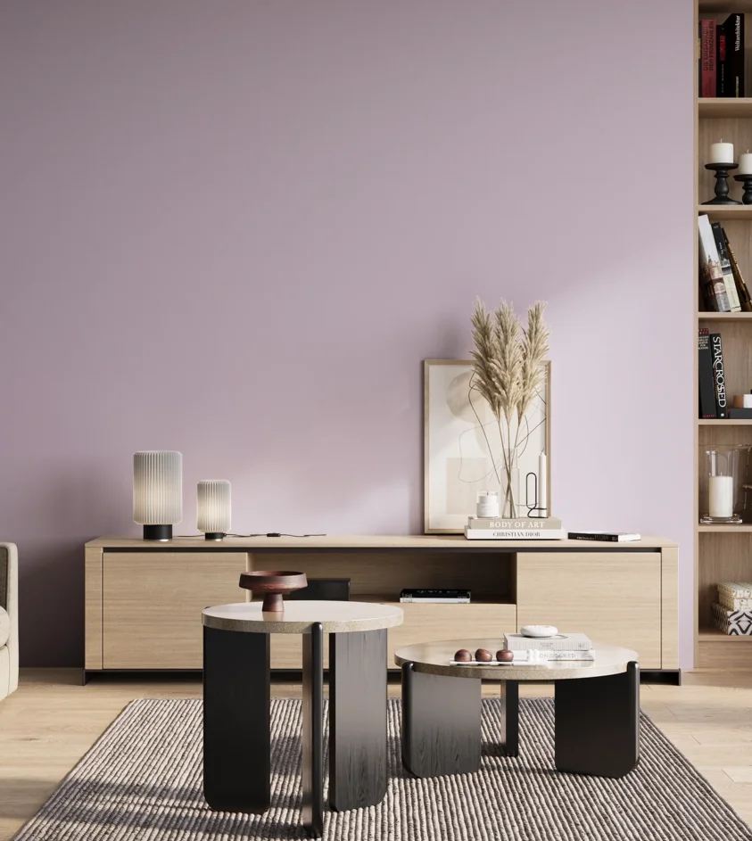 P10_SNIEZKA_salon_01_poranek_GREY_S0520-R50B