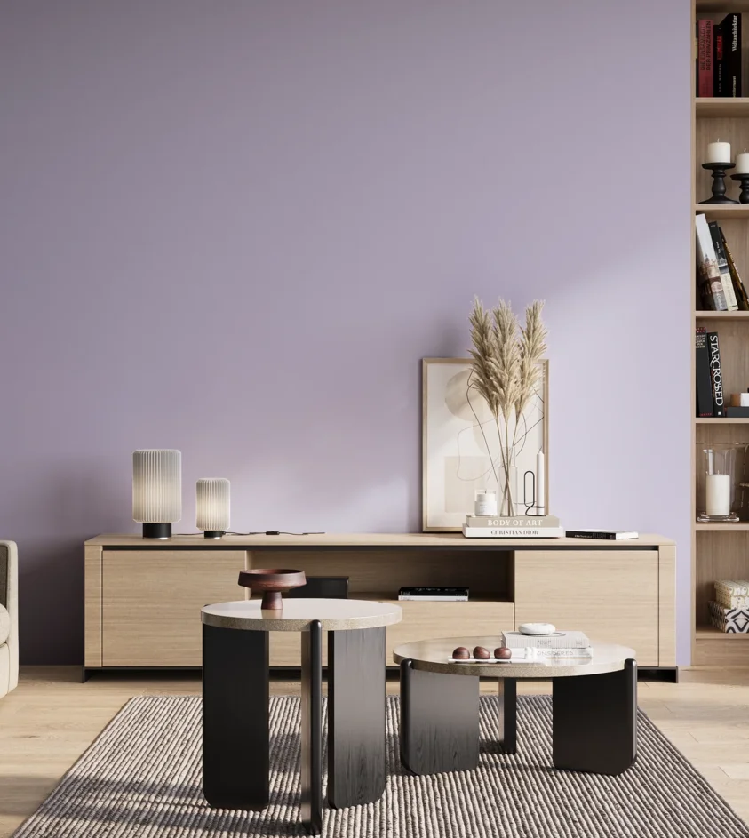 P10_SNIEZKA_salon_01_poranek_GREY_S0525-R60B