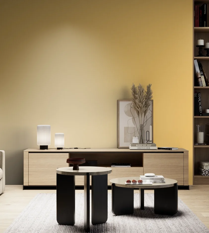 P10_SNIEZKA_salon_05_zimne_GREY_C17