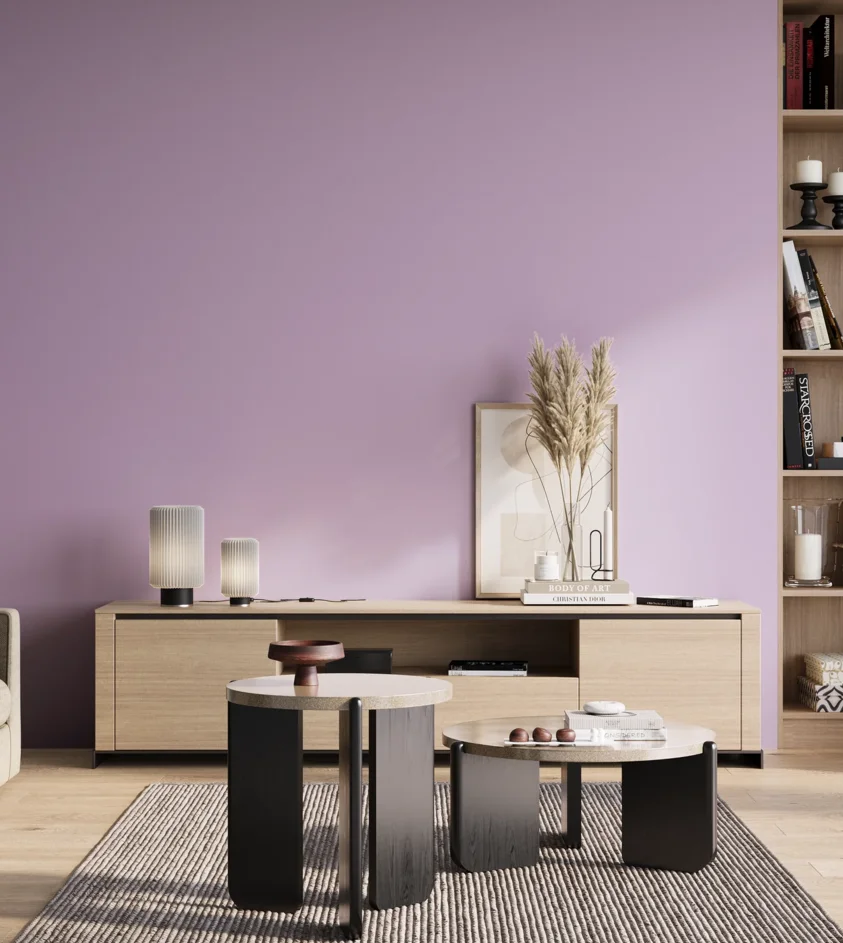P10_SNIEZKA_salon_01_poranek_GREY_S0530-R50B
