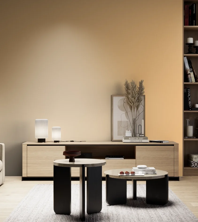 P10_SNIEZKA_salon_05_zimne_GREY_S0530-Y30R