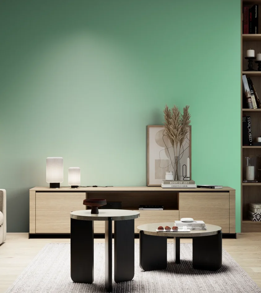 P10_SNIEZKA_salon_05_zimne_GREY_S0540-G