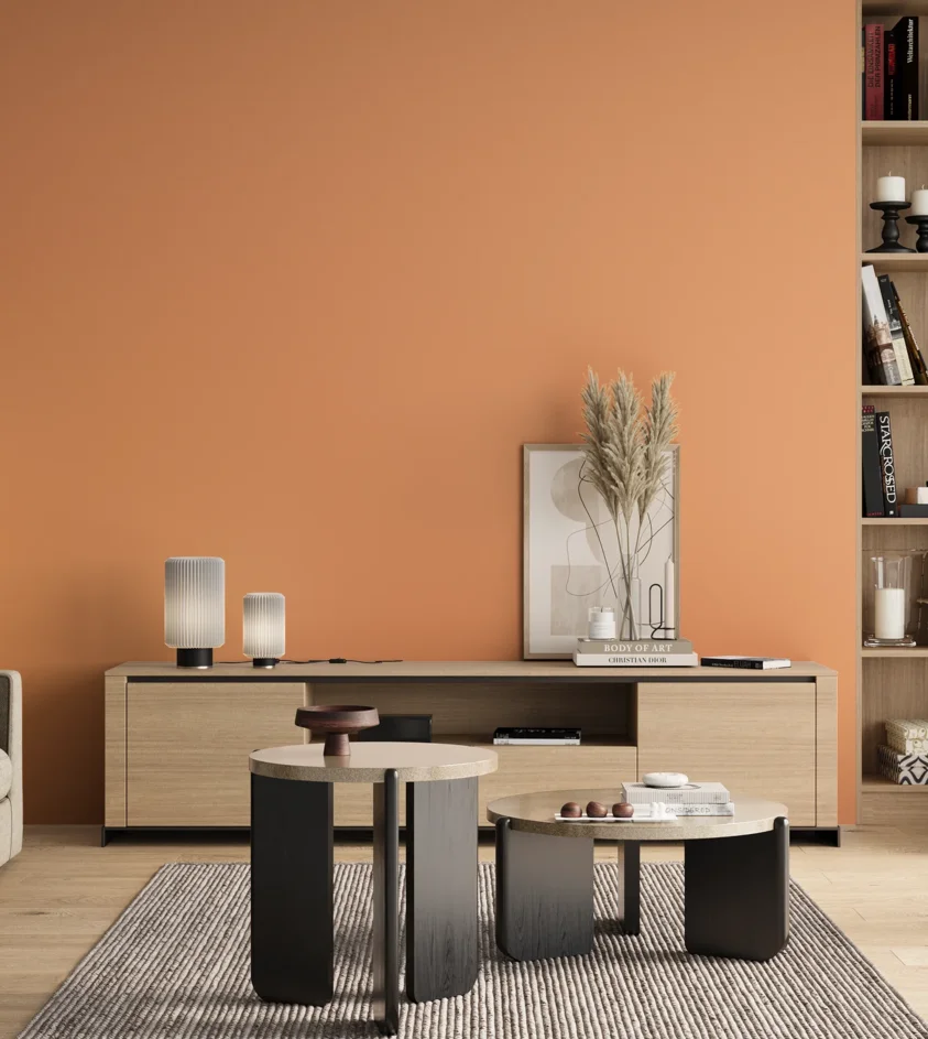 P10_SNIEZKA_salon_00_neutral_GREY_S0540-Y50R