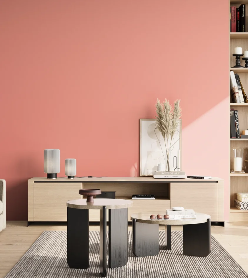P10_SNIEZKA_salon_02_poludnie_GREY_S0540-Y90R
