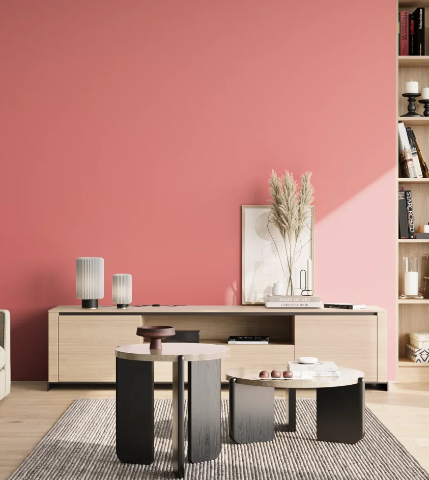 P10_SNIEZKA_salon_02_poludnie_GREY_S0550-R