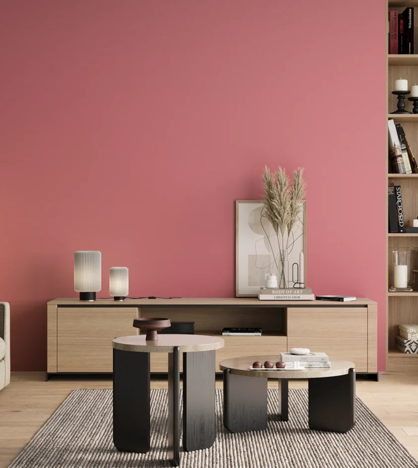 S0550-R10B | Magnat Farby
