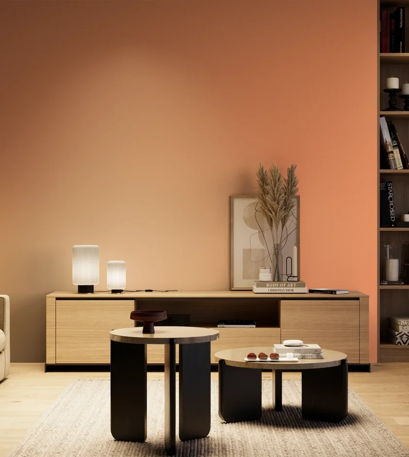 P10_SNIEZKA_salon_04_cieple_GREY_S0550-Y60R