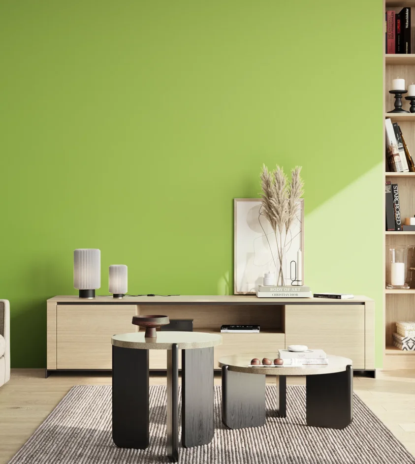 P10_SNIEZKA_salon_02_poludnie_GREY_S0560-G40Y
