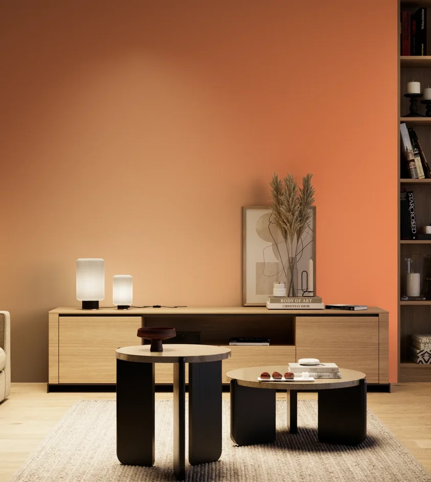 P10_SNIEZKA_salon_04_cieple_GREY_S0560-Y60R