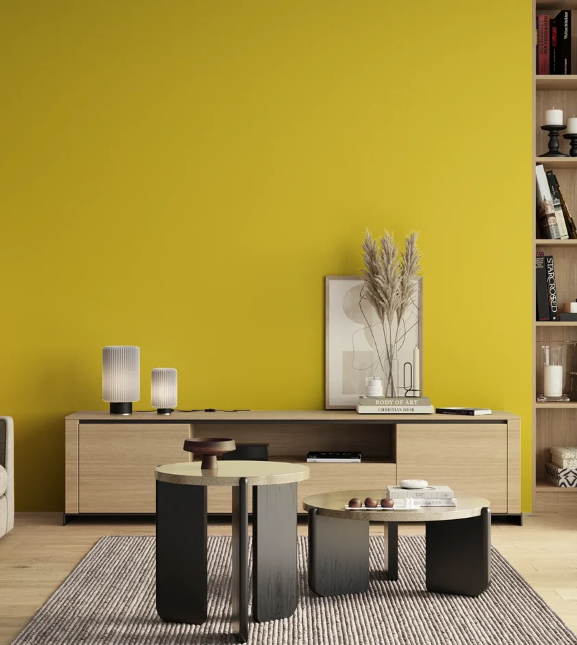 P10_SNIEZKA_salon_00_neutral_GREY_S0570-G90Y