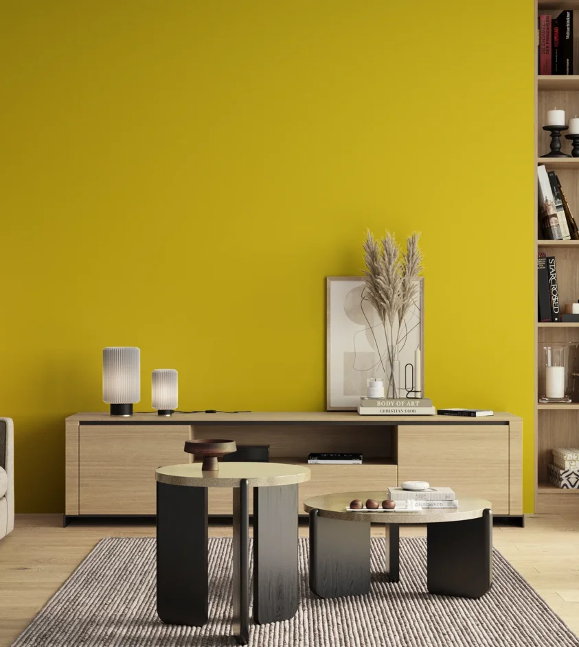P10_SNIEZKA_salon_00_neutral_GREY_S0575-G90Y