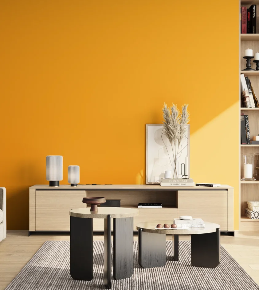 P10_SNIEZKA_salon_02_poludnie_GREY_S0580-Y20R