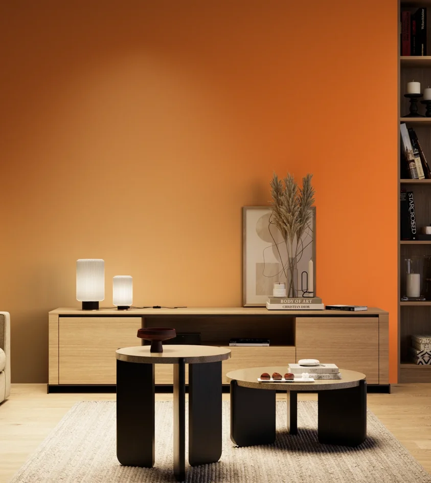 P10_SNIEZKA_salon_04_cieple_GREY_S0580-Y50R