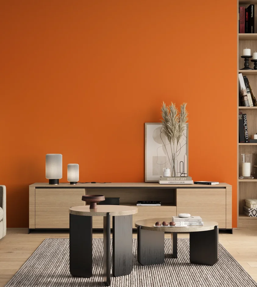 P10_SNIEZKA_salon_00_neutral_GREY_S0585-Y50R